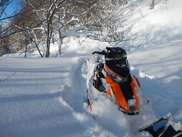 DSCN0602.jpg