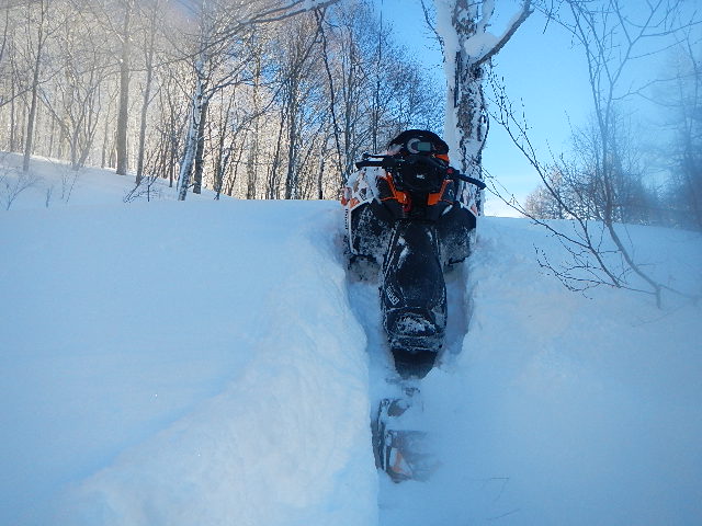 DSCN0604.jpg