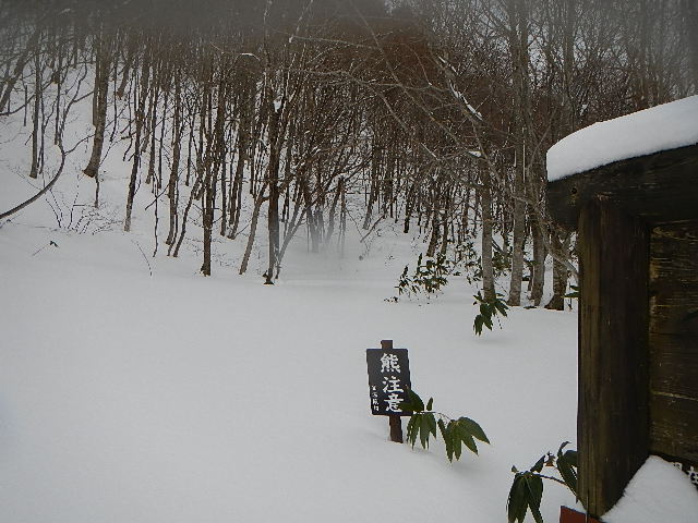 DSCN0622.jpg
