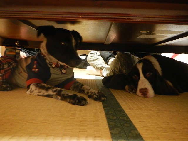 DSCN0626.jpg