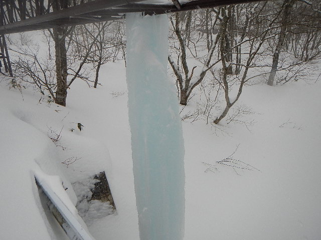 DSCN0642.jpg