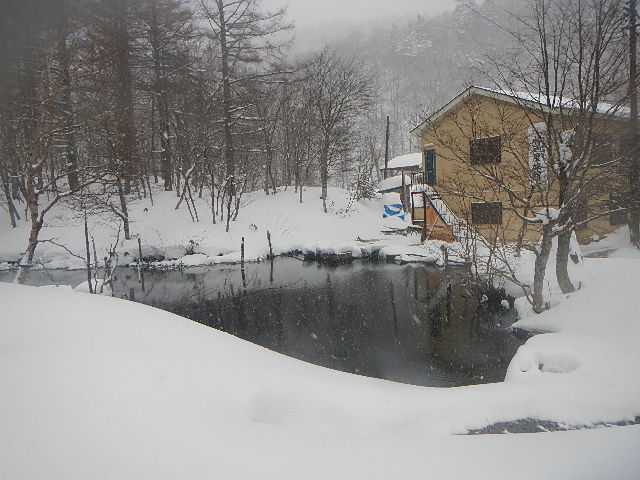 DSCN0646.jpg
