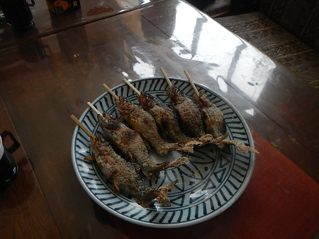 DSCN0660.jpg
