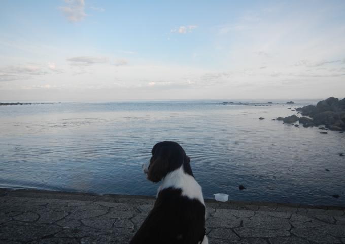 DSCN0850_convert_20120824213444.jpg