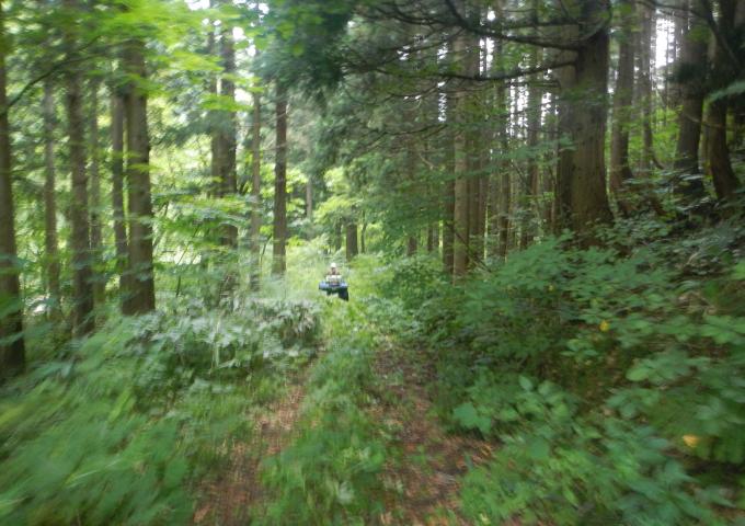 DSCN0901_convert_20120826205348.jpg