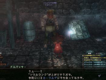 ドルバッキー