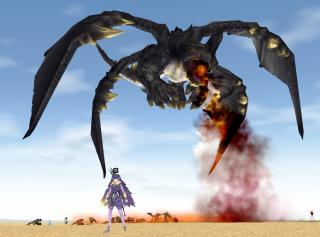 ブラックドラゴンさん