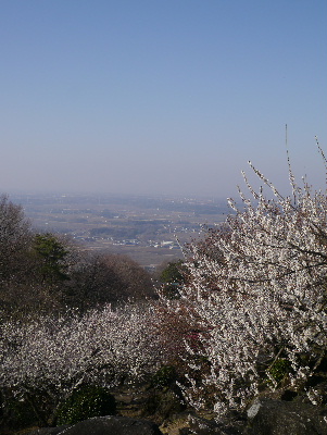 2013筑波山12