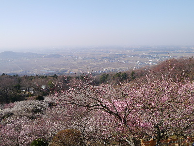 2013筑波山16