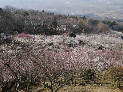 2013筑波山19