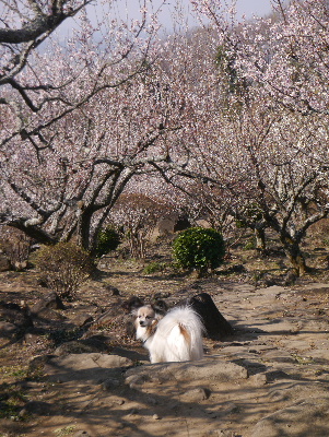 2013筑波山2−1