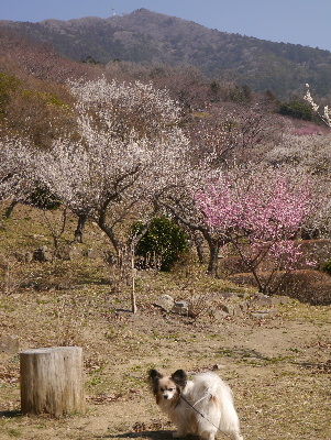 2013筑波山2−5