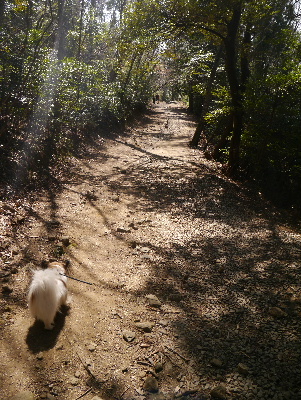 2013筑波山2−6