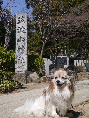 2013筑波山2−7