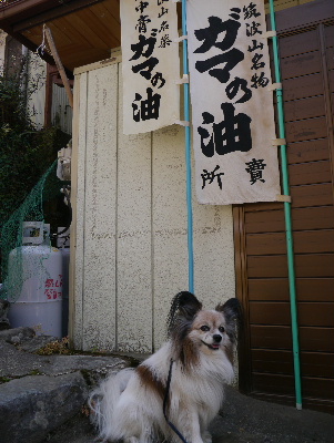 2013筑波山2−11