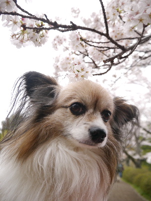 2013清水公園2
