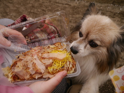 2013清水公園10