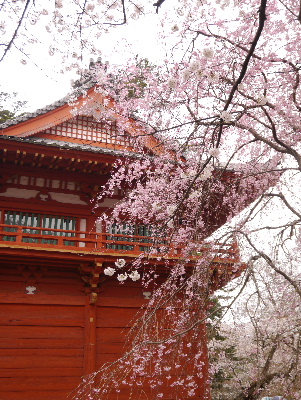 2013清水公園11