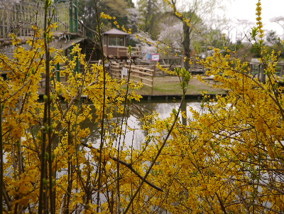 2013清水公園14