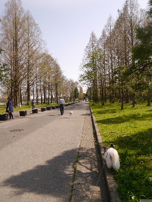 2013水元公園1