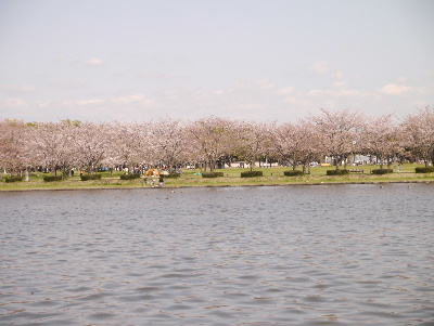 2013水元公園2