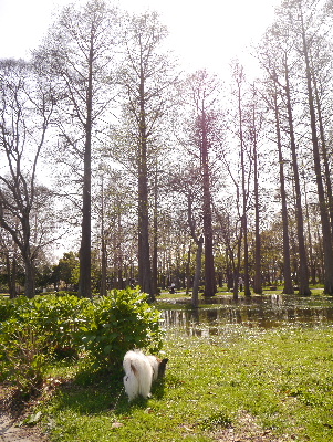 2013水元公園3