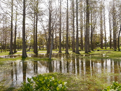 2013水元公園4