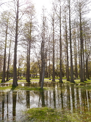 2013水元公園5