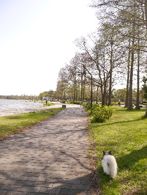 2013水元公園6