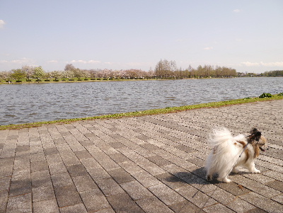 2013水元公園7