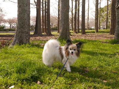 2013水元公園8
