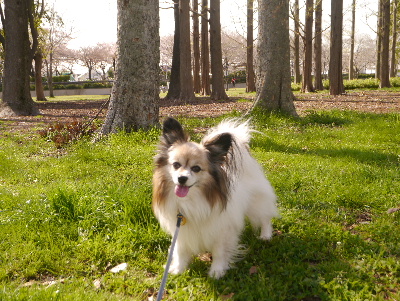 2013水元公園9