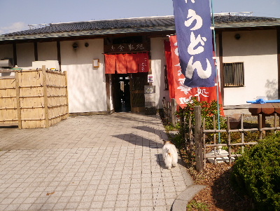 2013水元公園11