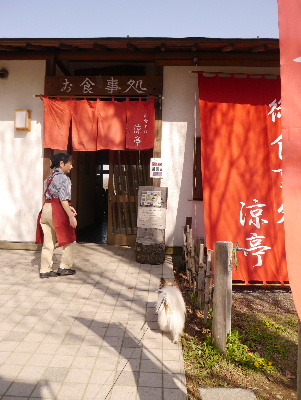 2013水元公園12