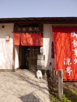 2013水元公園13