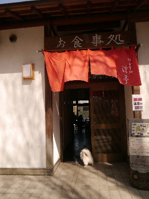 2013水元公園14