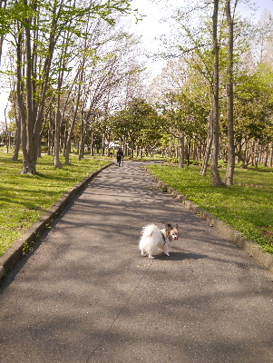 2013水元公園16