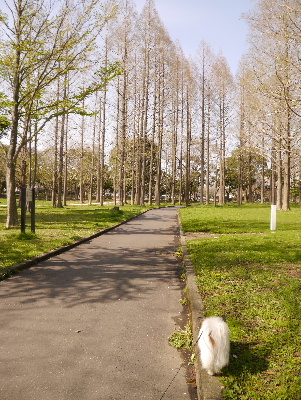2013水元公園17