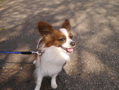 2013水元公園18