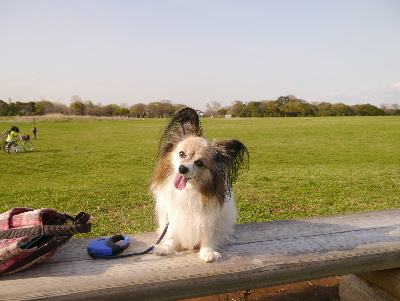 2013水元公園19