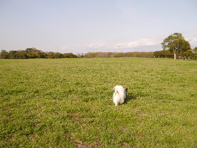 2013水元公園20