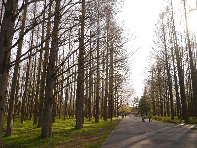 2013水元公園21