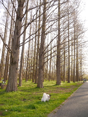 2013水元公園22