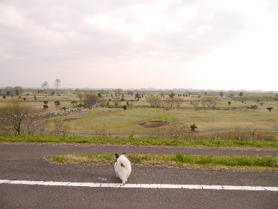 2013取手7