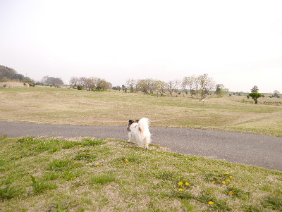 2013取手11