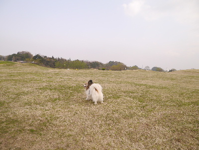 2013取手14