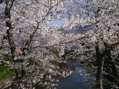 2013上田城14