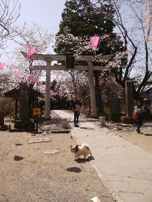2013懐古園5