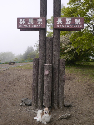 軽井沢旅行記2
