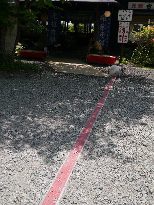軽井沢旅行記14